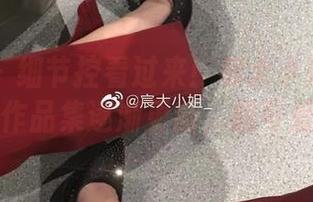 微密圈 – 细节控看过来！宸大小姐的连衣裙作品集逐渐更新，超可爱！